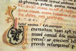 codexcalixtinushdr-003-copia | Codex Calixtinus